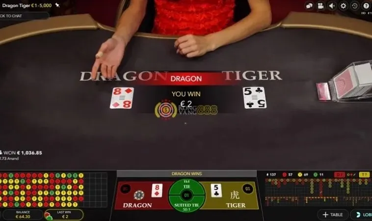 Các cửa cược trong game Dragon Tiger tại VN88